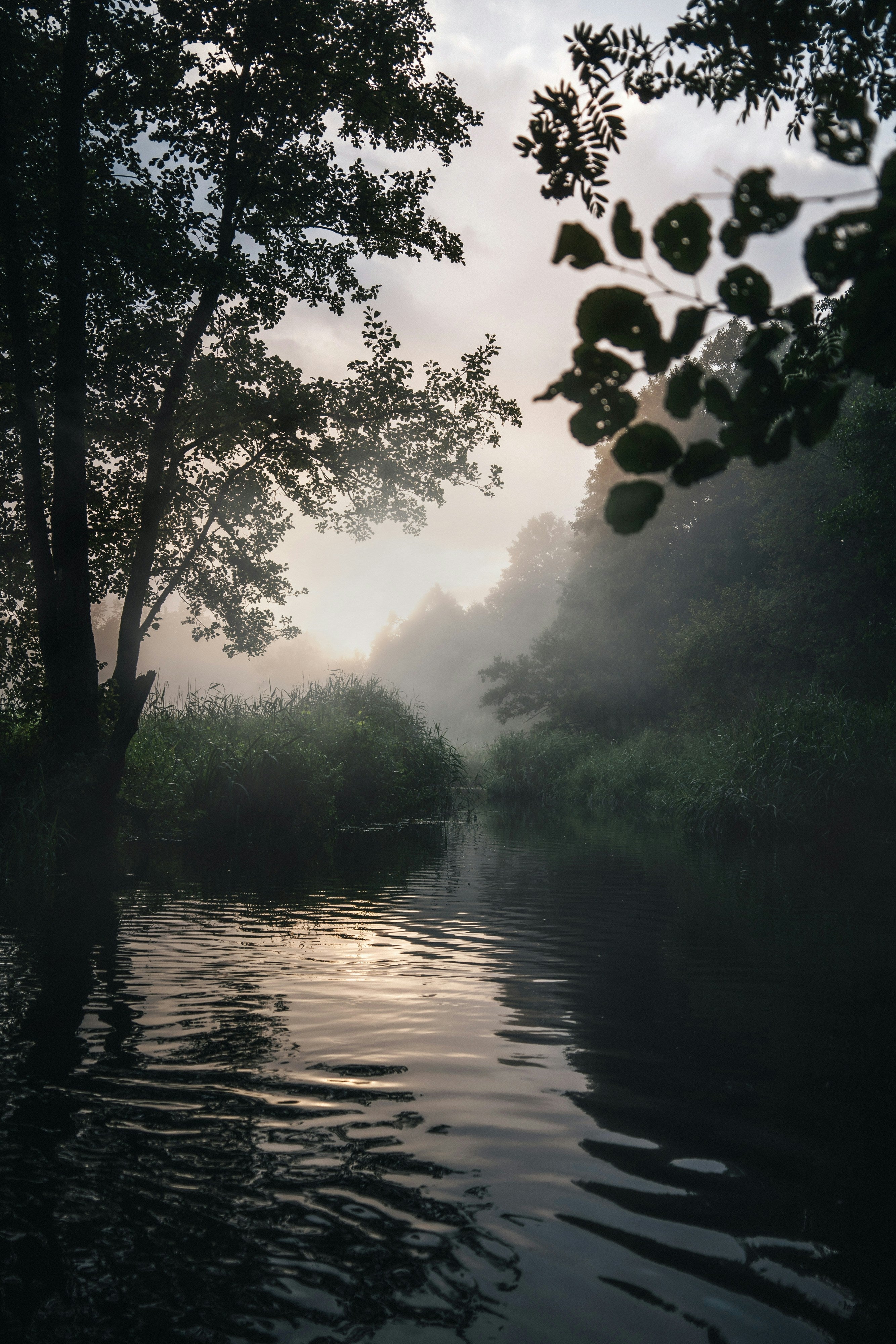 Une philosophie de peau